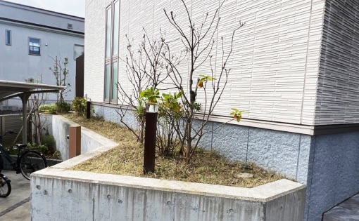 敷地内除草・植栽剪定後