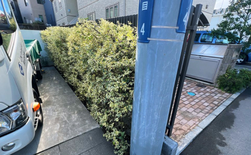 敷地内除草・植栽剪定後