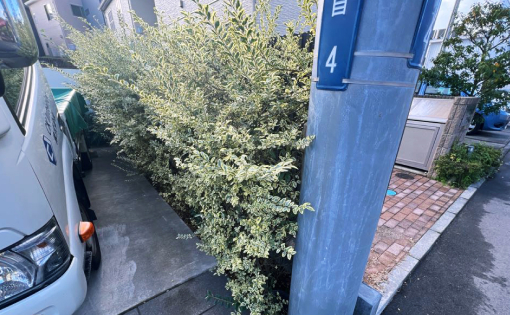 敷地内除草・植栽剪定前