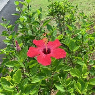 沖縄研修